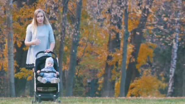 Jovem mãe com carruagem de bebê com um bebê pequeno nele andando no parque de outono — Vídeo de Stock