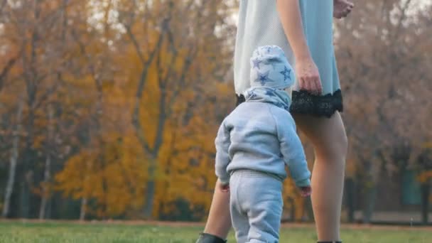 Giovane madre con un bambino che passeggia nel parco autunnale. Mamma solletica il suo bambino — Video Stock