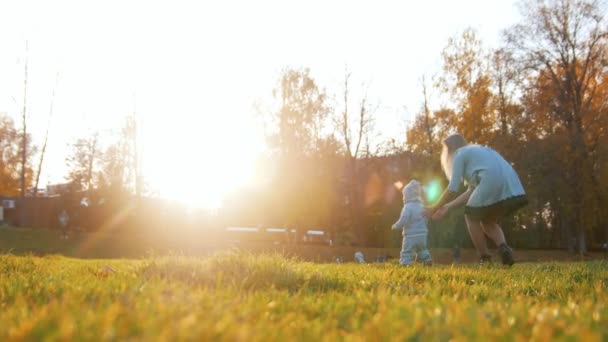 Madre joven con un bebé caminando en el parque de otoño al atardecer . — Vídeos de Stock