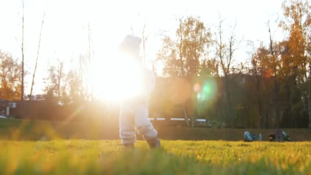 Jeune mère avec son petit fils jouant dans le parc d'automne au coucher du soleil. Bébé repose sur l'herbe. Famille heureuse — Video
