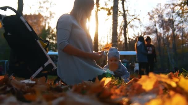 Young mother in dress with her little baby playing in autumn park. Throwing leaves. — Stock Video