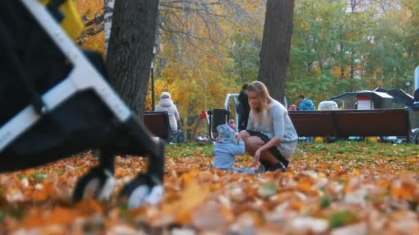 Ibu muda berpakaian dengan bayi kecilnya bermain di taman musim gugur. Memberikan tos-tos — Stok Video
