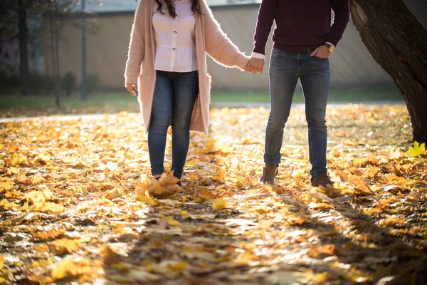 Ein nettes Paar, das Händchen haltend im Herbstpark spaziert — Stockfoto