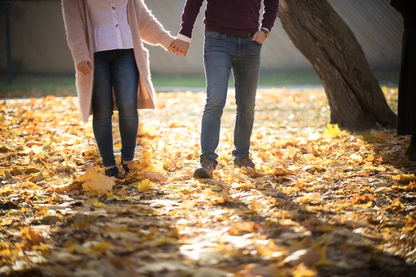A cute young couple walking in autumn park holding hands — Stock Photo, Image