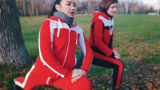 Two young woman in sport costumes doing leg lunges in park close up — Stock Video