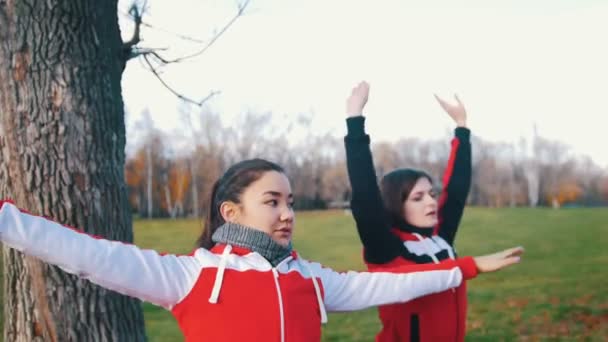 Duas jovens fazendo exercícios no parque — Vídeo de Stock