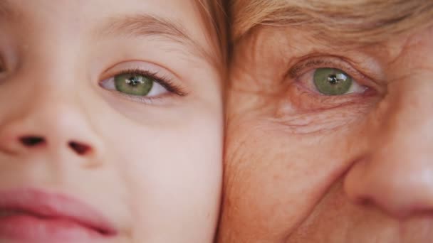 Zavřete portrét babička a vnučka. Zelené oči — Stock video