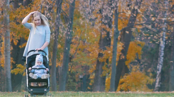 Madre joven caminando con su pequeño bebé en el parque de otoño — Foto de Stock