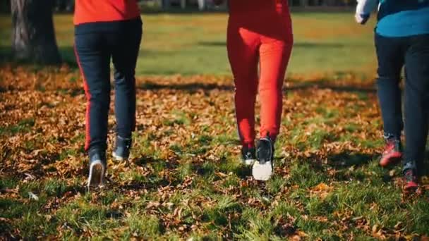 Young people running in the park. Back view. Slow motion — Stock Video
