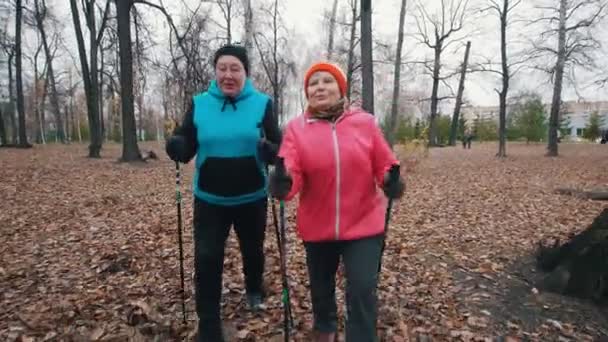 Duas idosas começam a andar sobre paus de caminhada nórdica. Ir para a câmara — Vídeo de Stock