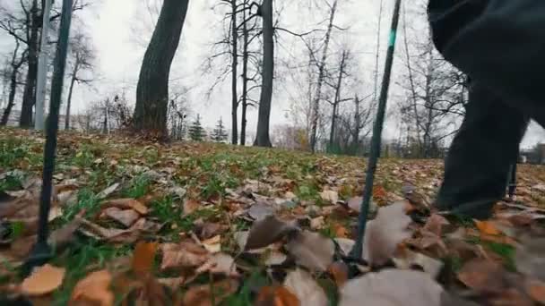 Dos ancianas caminando sobre palos de andar nórdico. Caminando sobre hojas muertas a finales de otoño. Pies en el marco. Movimiento lento — Vídeo de stock
