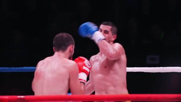 KAZAN, RUSSIE - 27 octobre 2018. Le championnat sur les combats par les règles TNA, dans la ville de Kazan, TATNEFT ARENA. Lutteur fait coup de pied haut — Video