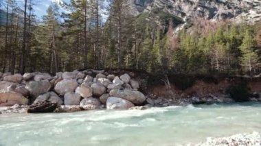 Dağlık orman ağaçları hızlı dere dere eğilerek ile. Gri kaya.