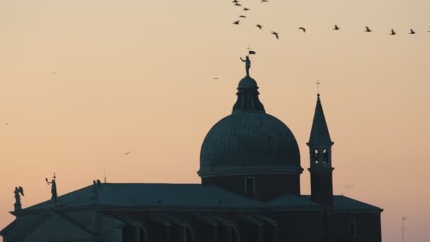 Flock of birds flying over pink sunset sky. Background of the historical building — Stock Video