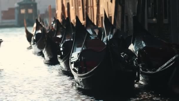 Gôndolas amarradas a flutuar no portal. Itália . — Vídeo de Stock