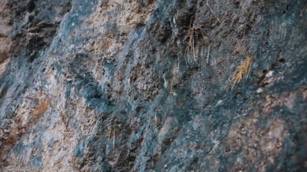 岩の壁にストリームの小さなトリクル — ストック動画