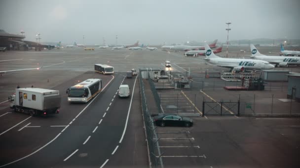 Rússia, MOSCOW. 8-11-2018. SHEREMETYEVO AIRPORT: Uma visão geral dos aviões no campo de pouso. Companhias aéreas "UTair" . — Vídeo de Stock