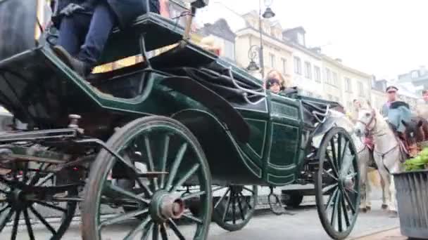 POLAND, WARSAW 9-11-2018: 100-årsjubileum for dagens selvstendighet. En folkemengde. mars – stockvideo