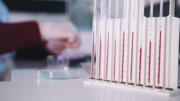 Clínica médica. A enfermeira trabalha com amostras de sangue. Close up de pipetas cheias de sangue — Vídeo de Stock