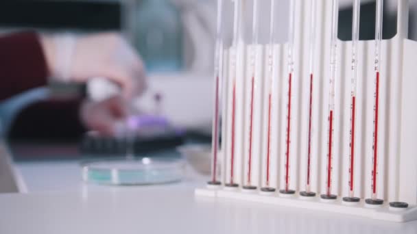 Medical clinic. Nurse works with blood samples. Close up of pipettes filled up with blood — Stock Video