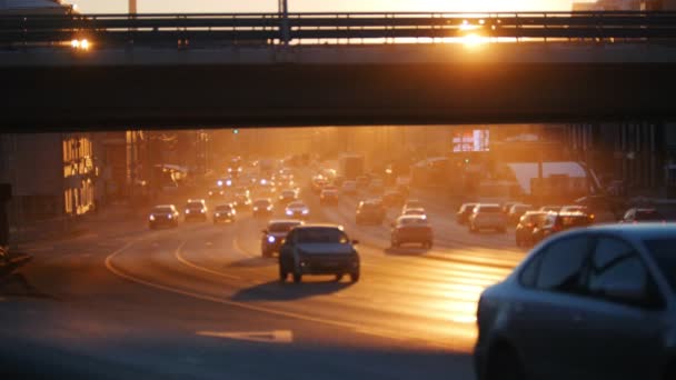 Een grote stad. Auto's die rijden op de weg onder de brug. Groot verkeer. Zonsondergang. — Stockvideo