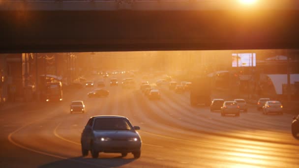 En storstad. Bilar ridning på vägen under bron. Solnedgång. — Stockvideo