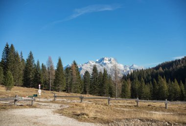 Güzel bir manzara. Orman ve dağlar arka planda görüntüleyin. Mavi Berrak gökyüzü