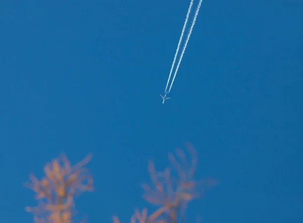 Traveling. A blue sky and autumn twigs. Airplane flies — Stock Photo, Image