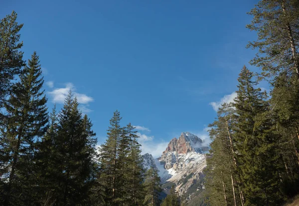 Călătoresc. O privelişte spre munţi şi o pădure. Cerul albastru — Fotografie, imagine de stoc