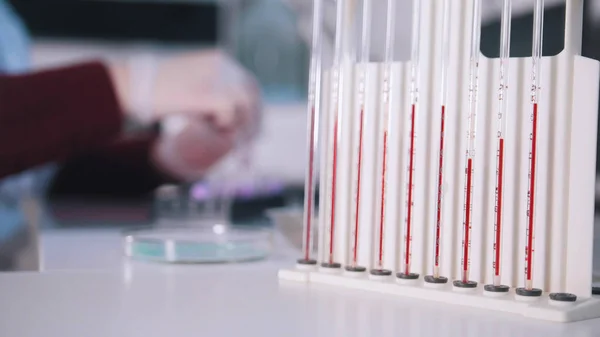 Женщина использовала различные образцы крови для тестов в медицинской лаборатории — стоковое фото