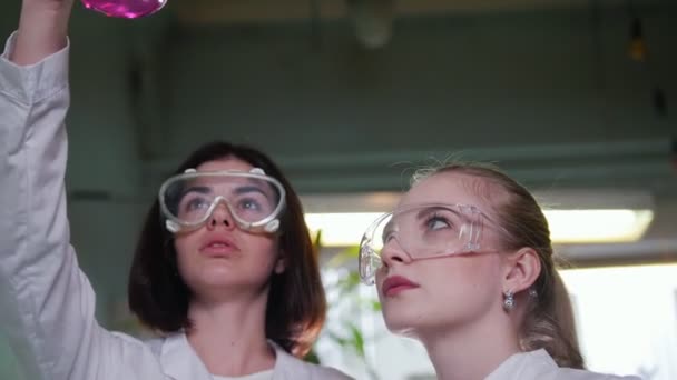 Chemisch Laboratorium Twee Jonge Vrouwen Medisch Assistenten Maken Van Experimenten — Stockvideo