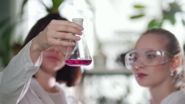 Chemická laboratoř. Dvě mladé ženy při pohledu na baňky s růžovou kapalinou v ní a vyhodnotit výsledek — Stock video