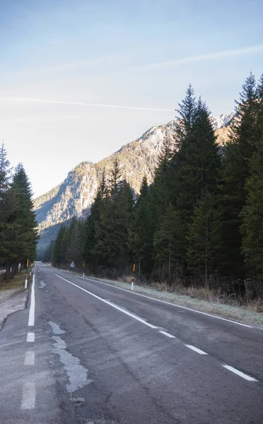 El tramo de la carretera. Vista de los árboles en las dolomitas — Foto de Stock