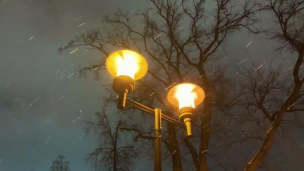Een straat lamp onder een sneeuwval in de nacht — Stockvideo