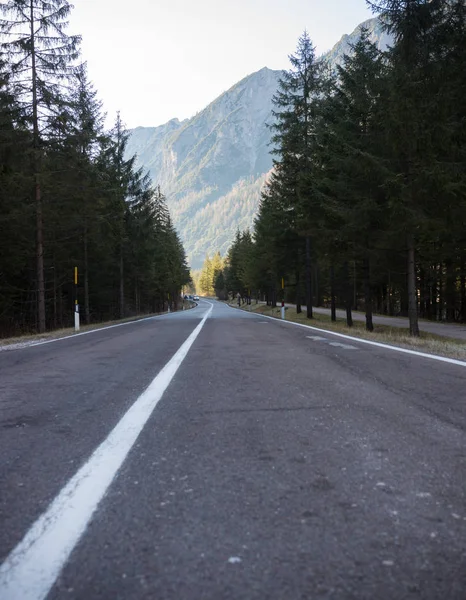 Dolomitas. El tramo de la carretera. Árboles verdes a los lados — Foto de Stock