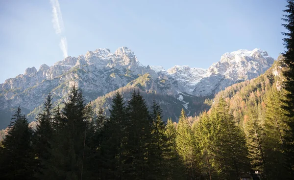 Dolomites입니다. 산과 숲의 아름 다운 풍경 — 스톡 사진