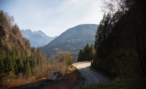 Dolomitas. Otoño. El tramo de la carretera. Árboles verdes a los lados — Foto de Stock