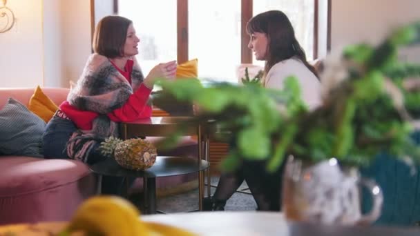 Dos mujeres jóvenes sentadas en el café y hablando mientras beben café. Vista superior — Vídeos de Stock