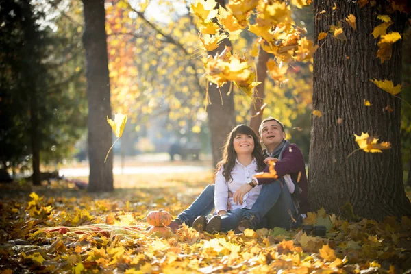Milující pár sedí na listí pod stromem v podzimní park — Stock fotografie