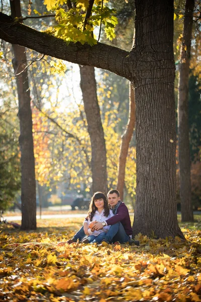 Milující pár se sedící pod velkým stromem v podzimní park — Stock fotografie
