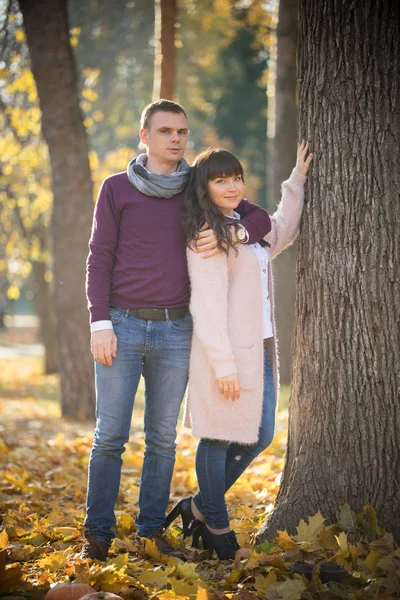 Pareja cariñosa parada cerca de un árbol en el parque de otoño —  Fotos de Stock