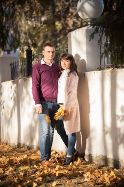 Bir kaç içinde sevgi duvara yakın dur ve sonbahar parkta yaprakların tutmak
