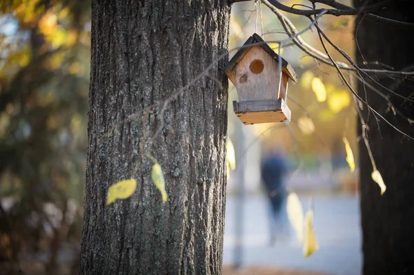 Casa de pájaros colgada de un árbol en el parque de otoño —  Fotos de Stock