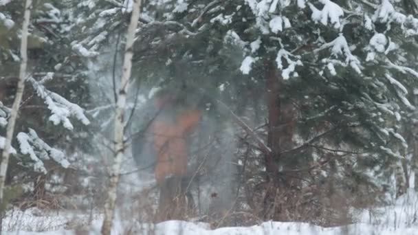 Dziecko potrząsa drzewa i śnieg spada tam w lesie — Wideo stockowe