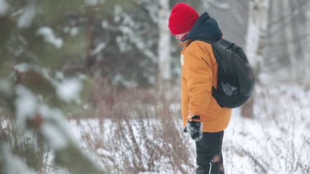 Un petit garçon dans la forêt d'hiver ramasse la neige et fait une boule de neige — Video