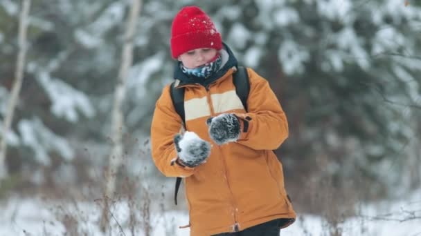 Forêt d'hiver. Un petit garçon faisant une boule de neige et la jetant vers l'avant — Video