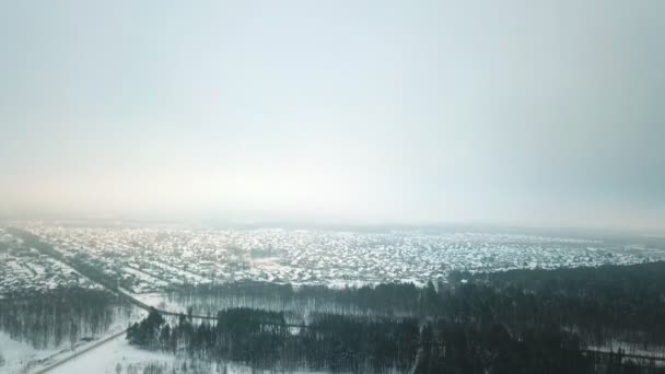 Une forêt d'hiver et un village au loin. Une vue d'ensemble du haut . — Video