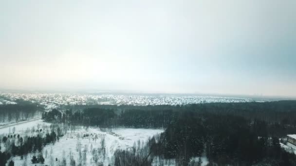 Una foresta invernale e un villaggio in lontananza. Una vista dall'alto . — Video Stock