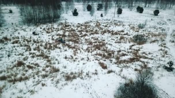 Un bosque de invierno. Gente montada en dos motos de nieve. Disparos en helicóptero — Vídeos de Stock