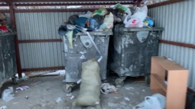 Rusya, Kazan 18-12-2018: bir kişi için çöp - ekoloji - sorun modern Rusya'nın overfilled bir kova bir çanta ile çöp atma